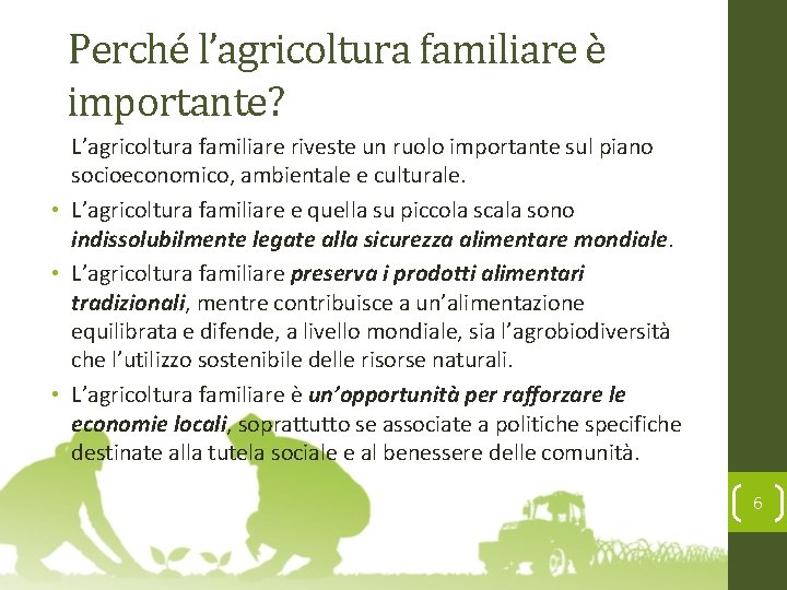 Perché l’agricoltura familiare è importante? L’agricoltura familiare riveste un ruolo importante sul piano socioeconomico,
