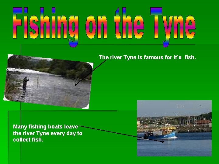 The river Tyne is famous for it’s fish. Many fishing boats leave the river