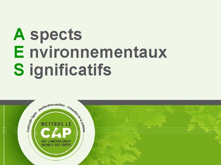 A spects E nvironnementaux S ignificatifs 12 