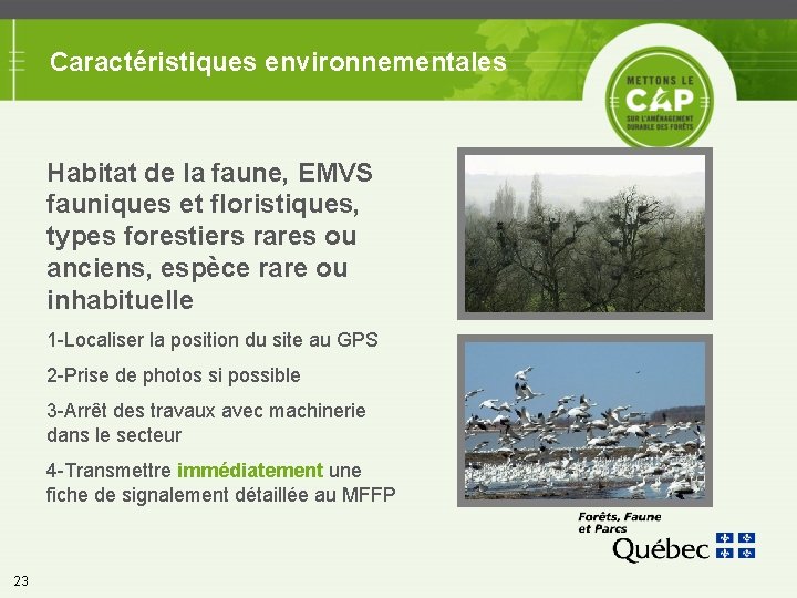 Caractéristiques environnementales Habitat de la faune, EMVS fauniques et floristiques, types forestiers rares ou