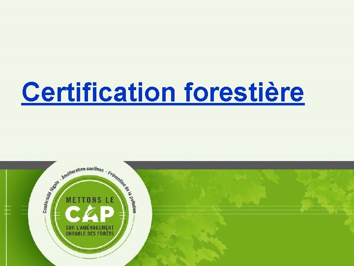 Certification forestière 28 