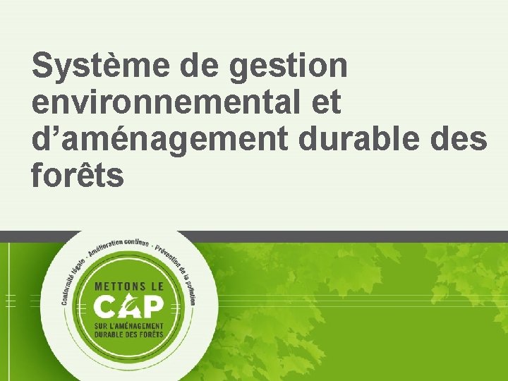 Système de gestion environnemental et d’aménagement durable des forêts 9 