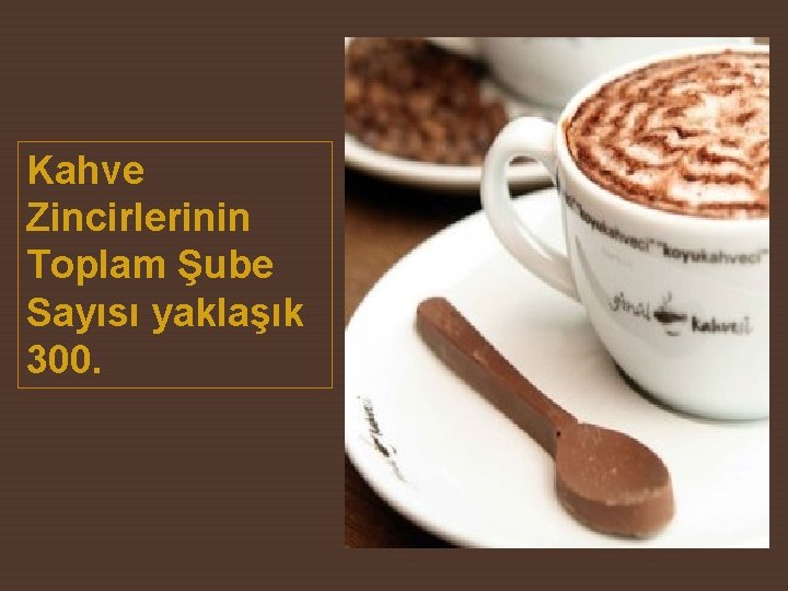 Kahve Zincirlerinin Toplam Şube Sayısı yaklaşık 300. 