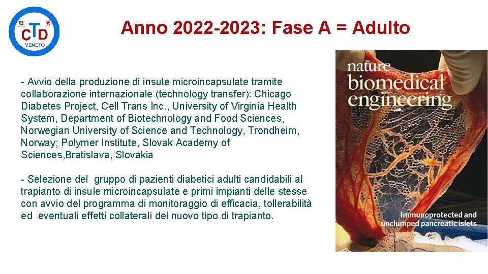 Anno 2022 -2023: Fase A = Adulto - Avvio della produzione di insule microincapsulate