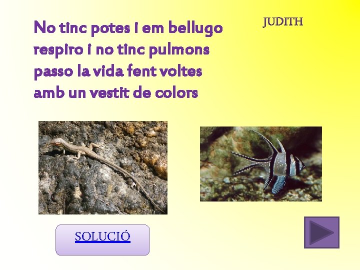 No tinc potes i em bellugo respiro i no tinc pulmons passo la vida No tinc potes i em bellugo respiro i no tinc pulmons passo la vida