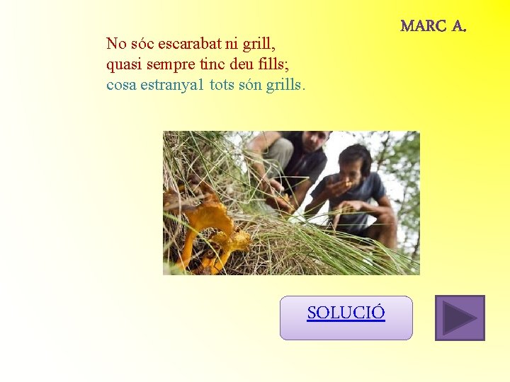 No sóc escarabat ni grill, quasi sempre tinc deu fills; cosa estranya 1 tots No sóc escarabat ni grill, quasi sempre tinc deu fills; cosa estranya 1 tots