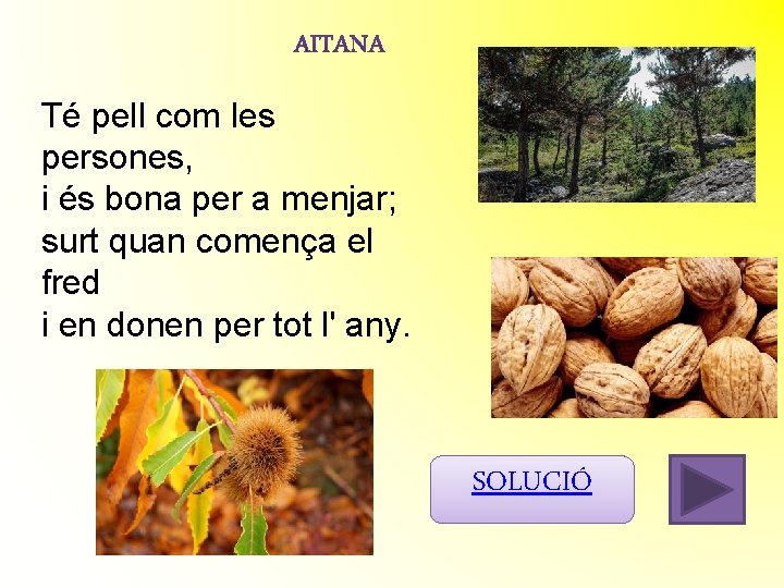 Té pell com les persones, i és bona per a menjar; surt quan comença Té pell com les persones, i és bona per a menjar; surt quan comença