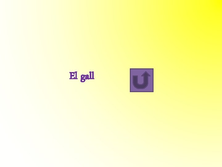 El gall El gall