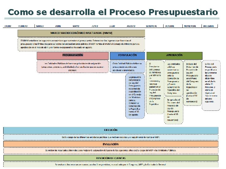 Como se desarrolla el Proceso Presupuestario 