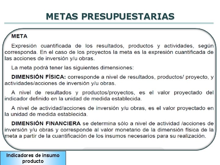 METAS PRESUPUESTARIAS Indicadores de insumo producto 