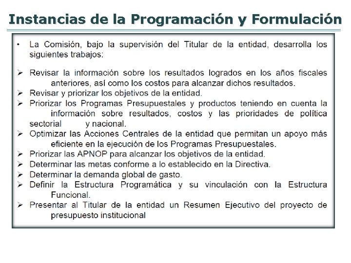 Instancias de la Programación y Formulación 