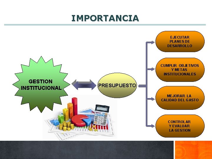IMPORTANCIA EJECUTAR PLANES DE DESARROLLO CUMPLIR OBJETIVOS Y METAS INSTITUCIONALES GESTION INSTITUCIONAL PRESUPUESTO MEJORAR