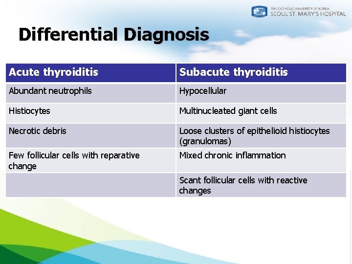 Differential Diagnosis Acute thyroiditis Subacute thyroiditis Abundant neutrophils Hypocellular Histiocytes Multinucleated giant cells Necrotic