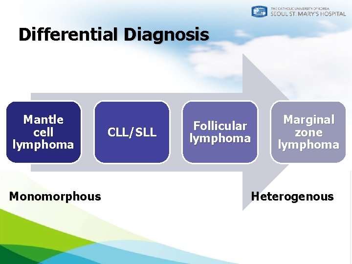 Differential Diagnosis Mantle cell lymphoma Monomorphous CLL/SLL Follicular lymphoma Marginal zone lymphoma Heterogenous 