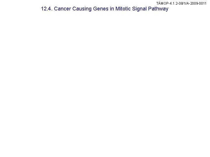 TÁMOP-4. 1. 2 -08/1/A-2009 -0011 12. 4. Cancer Causing Genes in Mitotic Signal Pathway