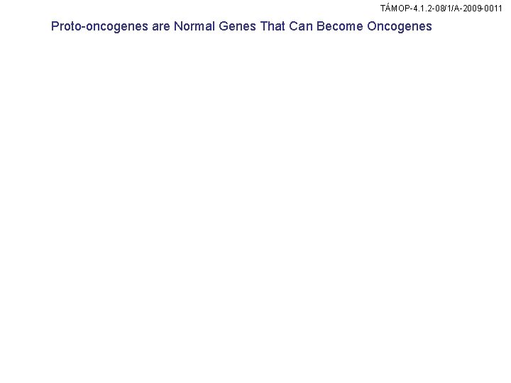 TÁMOP-4. 1. 2 -08/1/A-2009 -0011 Proto-oncogenes are Normal Genes That Can Become Oncogenes 