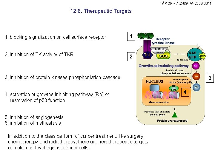 TÁMOP-4. 1. 2 -08/1/A-2009 -0011 12. 6. Therapeutic Targets 1, blocking signalization on cell