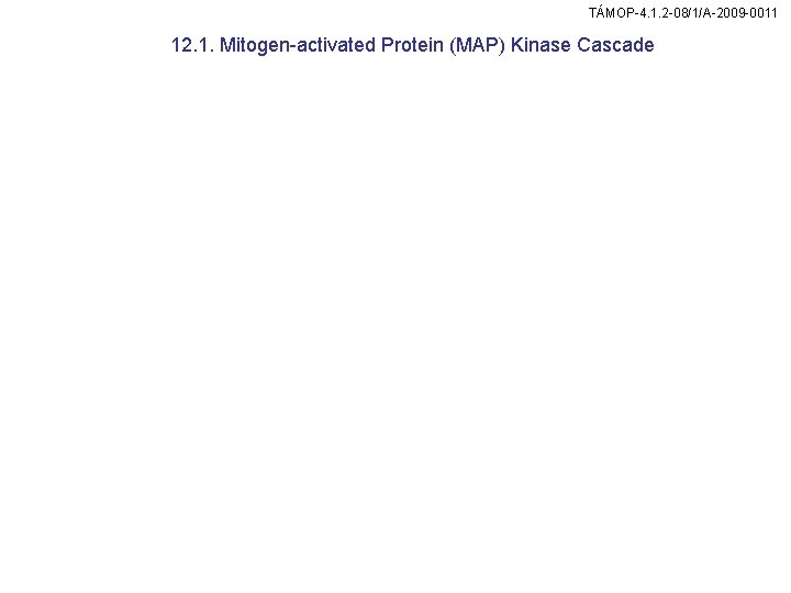 TÁMOP-4. 1. 2 -08/1/A-2009 -0011 12. 1. Mitogen-activated Protein (MAP) Kinase Cascade 