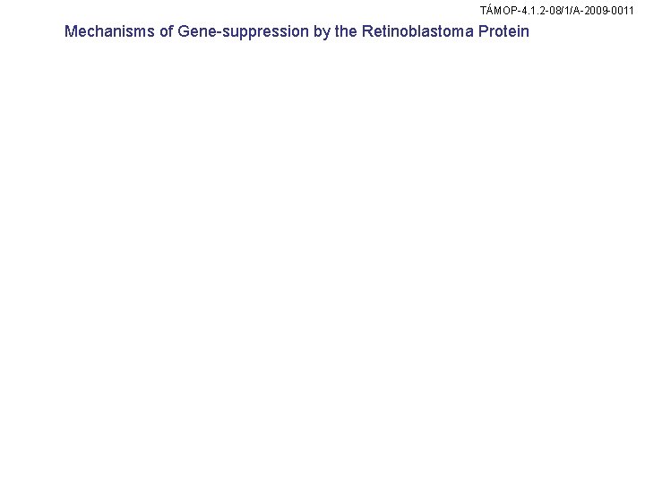 TÁMOP-4. 1. 2 -08/1/A-2009 -0011 Mechanisms of Gene-suppression by the Retinoblastoma Protein TÁMOP-4. 1. 2 -08/1/A-2009 -0011 Mechanisms of Gene-suppression by the Retinoblastoma Protein