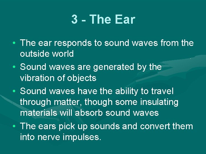 3 - The Ear • The ear responds to sound waves from the outside