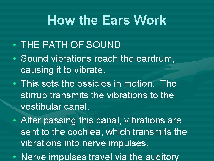How the Ears Work • THE PATH OF SOUND • Sound vibrations reach the