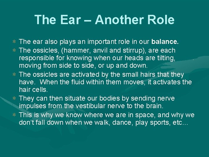 The Ear – Another Role ∗ The ear also plays an important role in
