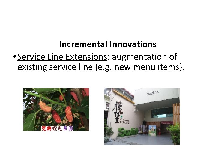 Incremental Innovations • Service Line Extensions: augmentation of existing service line (e. g. new