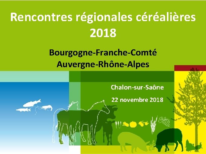 Rencontres régionales céréalières 2018 Bourgogne-Franche-Comté Auvergne-Rhône-Alpes Chalon-sur-Saône 22 novembre 2018 Rencontres Régionales Céréalières 22