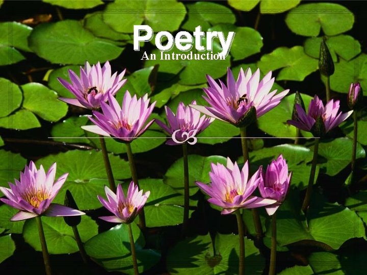 Poetry An Introduction 