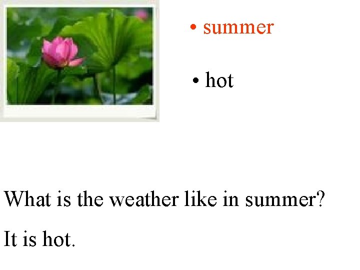  • summer • hot What is the weather like in summer? It is