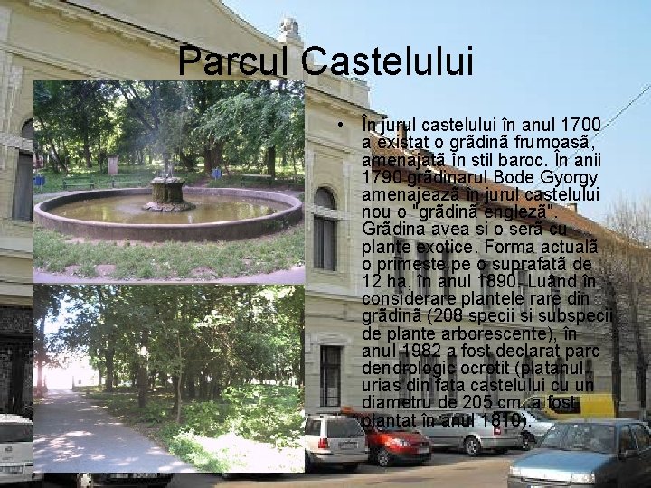 Parcul Castelului • În jurul castelului în anul 1700 a existat o grãdinã frumoasã,