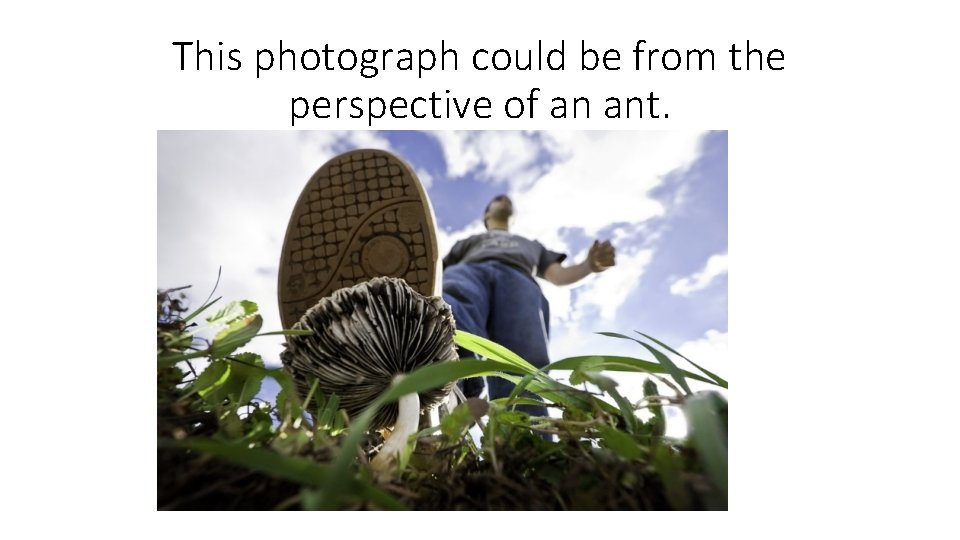 This photograph could be from the perspective of an ant. 