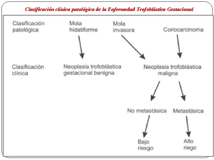 Clasificación clínica patológica de la Enfermedad Trofoblástica Gestacional 