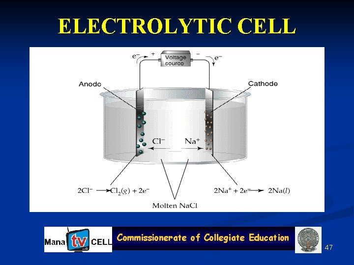 ELECTROLYTIC CELL Commissionerate of Collegiate Education 47 