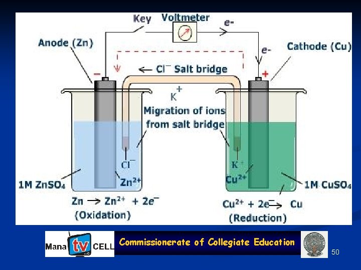 Commissionerate of Collegiate Education 50 