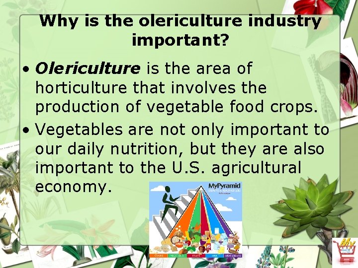 Why is the olericulture industry important? • Olericulture is the area of horticulture that