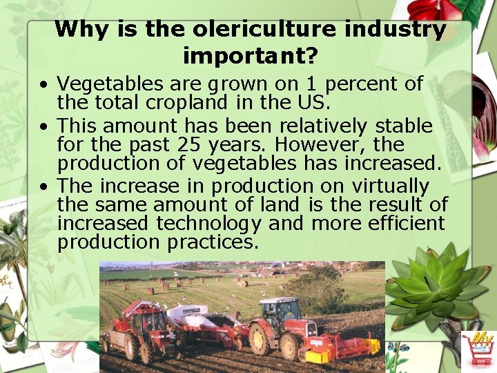 Why is the olericulture industry important? • Vegetables are grown on 1 percent of