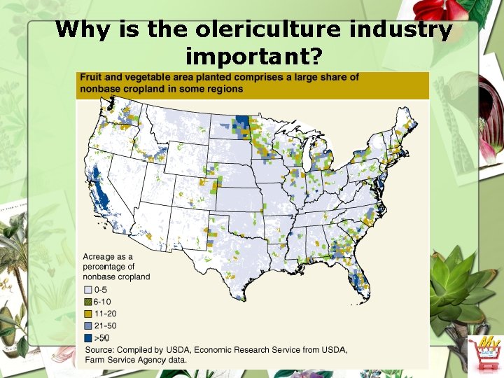 Why is the olericulture industry important? 