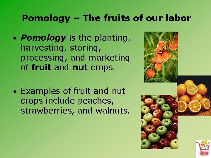 Pomology – The fruits of our labor • Pomology is the planting, harvesting, storing,