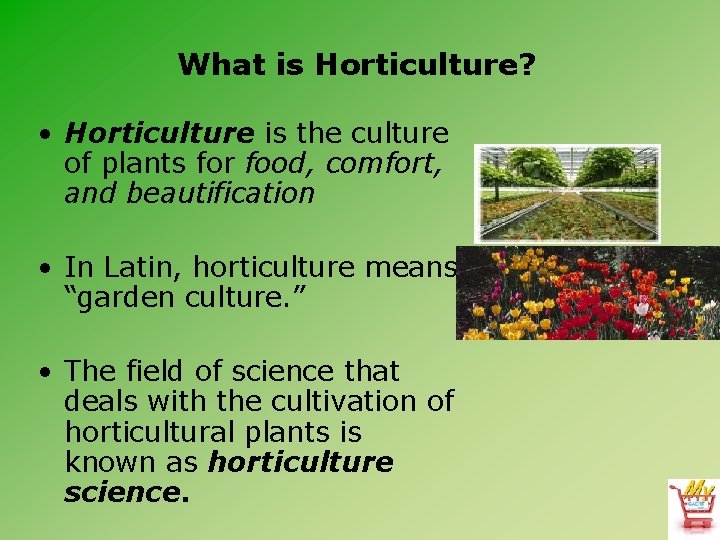 What is Horticulture? • Horticulture is the culture of plants for food, comfort, and