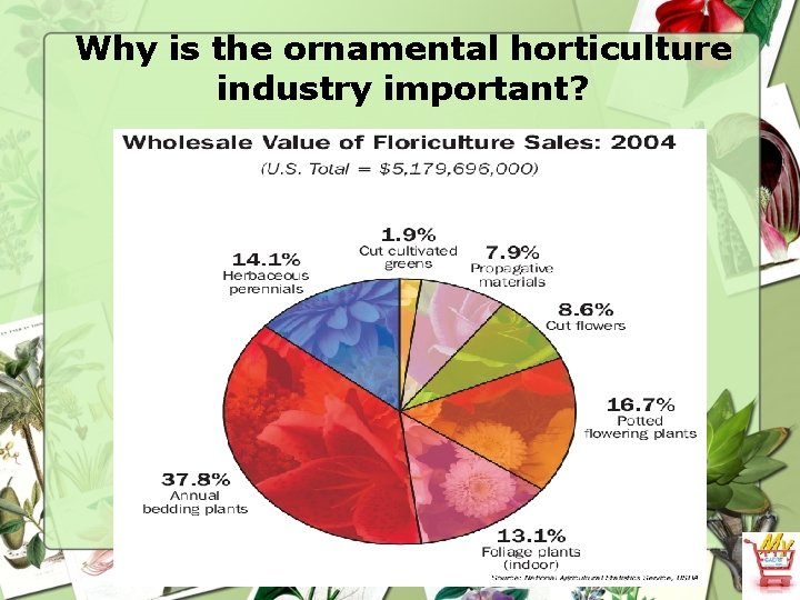 Why is the ornamental horticulture industry important? 