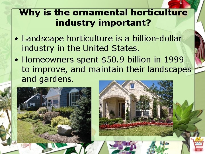 Why is the ornamental horticulture industry important? • Landscape horticulture is a billion-dollar industry