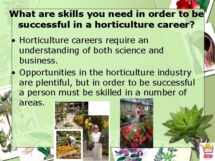 What are skills you need in order to be successful in a horticulture career?