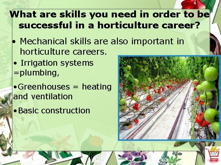 What are skills you need in order to be successful in a horticulture career?