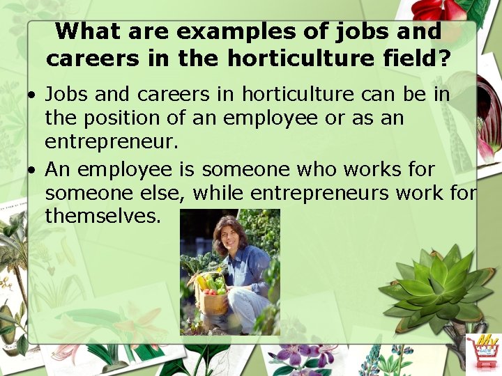 What are examples of jobs and careers in the horticulture field? • Jobs and