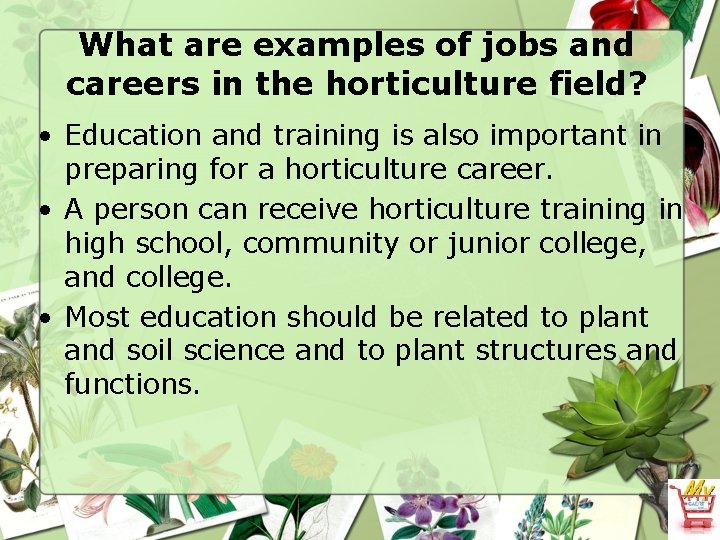 What are examples of jobs and careers in the horticulture field? • Education and