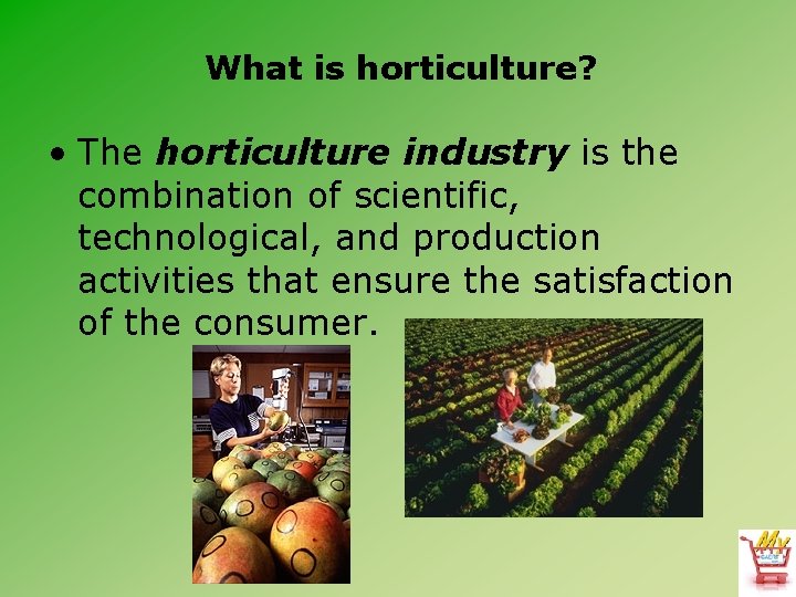 What is horticulture? • The horticulture industry is the combination of scientific, technological, and