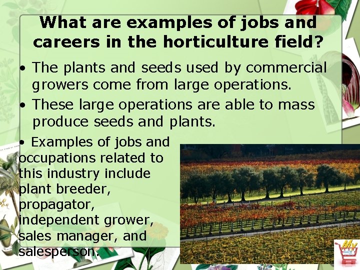 What are examples of jobs and careers in the horticulture field? • The plants
