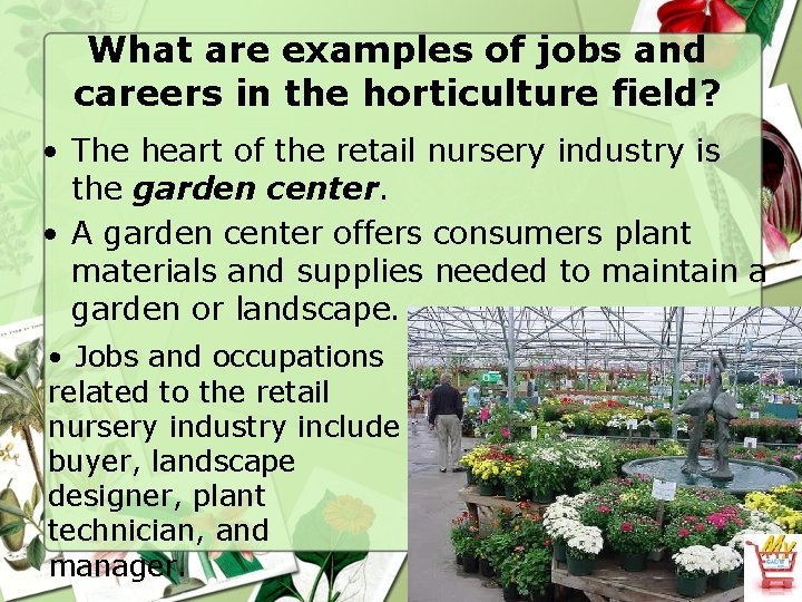 What are examples of jobs and careers in the horticulture field? • The heart