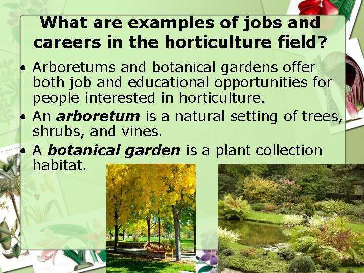 What are examples of jobs and careers in the horticulture field? • Arboretums and